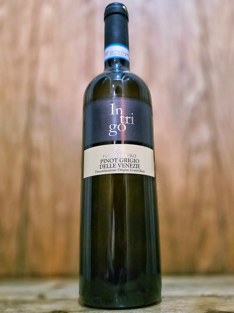 Intrigo - Pinot Grigio