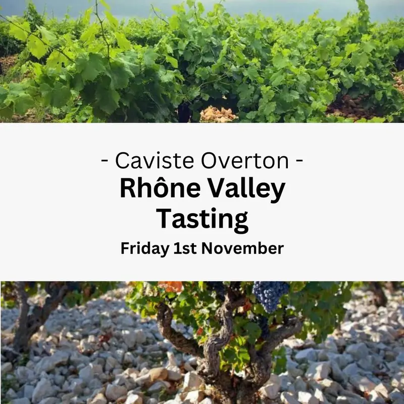 Rhône Valley Tour
